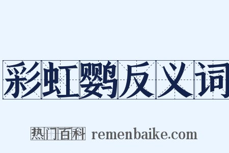 彩虹鹦反义词是什么意思的图片